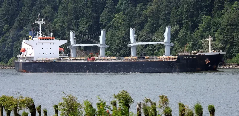 AKIJ HERITAGE Bulk Carrier IMO 9339454 photo 8