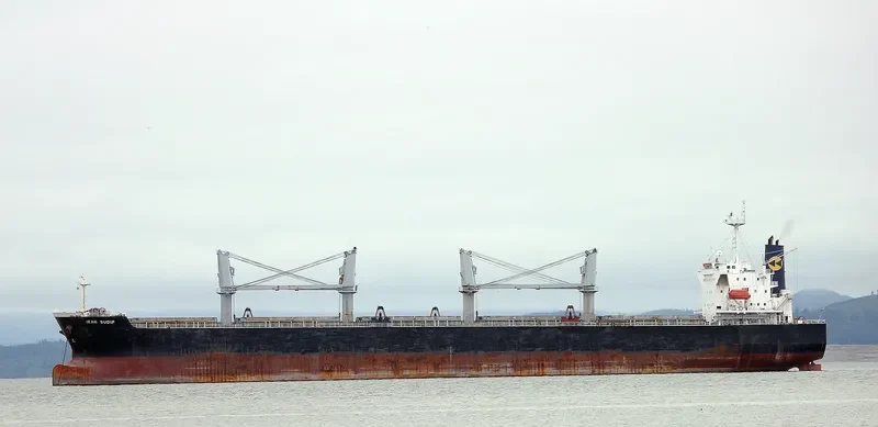 AKIJ HERITAGE Bulk Carrier IMO 9339454 photo 9