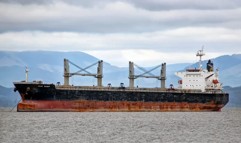 AKIJ HERITAGE Bulk Carrier IMO 9339454 photo 10