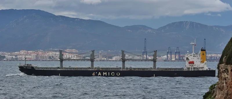 KOUROUPI Bulk Carrier IMO 9339466 photo 7
