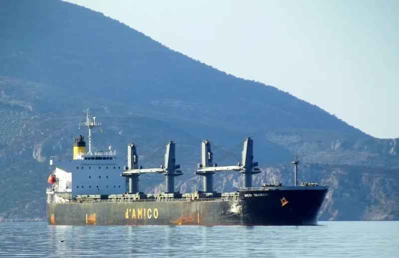 KOUROUPI Bulk Carrier IMO 9339466 photo 9