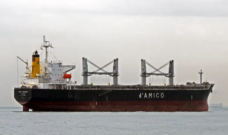 KOUROUPI Bulk Carrier IMO 9339466 photo 10