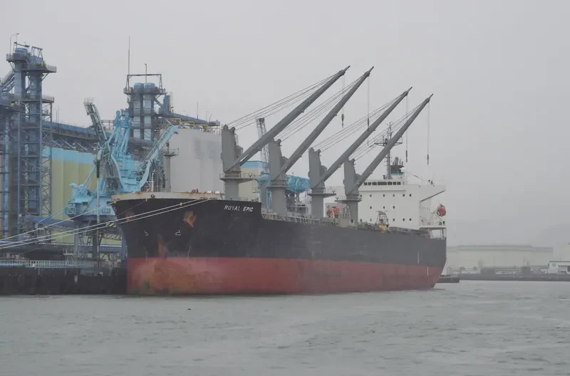 LGH PROSPER Bulk Carrier IMO 9339478