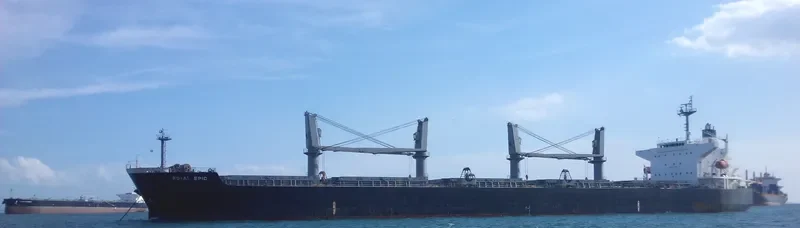 LGH PROSPER Bulk Carrier IMO 9339478 photo 2