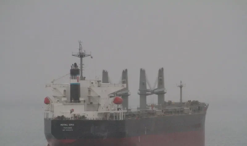 LGH PROSPER Bulk Carrier IMO 9339478 photo 3