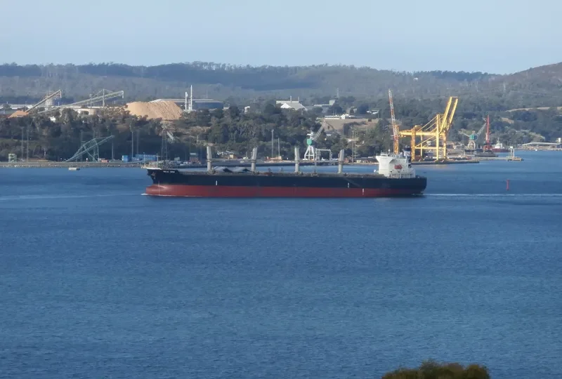 LGH PROSPER Bulk Carrier IMO 9339478 photo 5