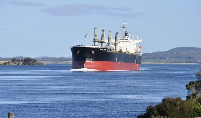 LGH PROSPER Bulk Carrier IMO 9339478 photo 7