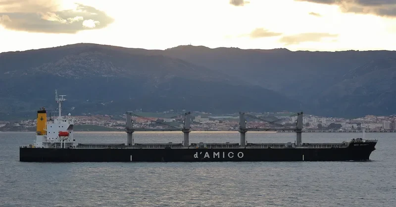 JAHAN BROTHERS II Bulk Carrier IMO 9339480 photo 2