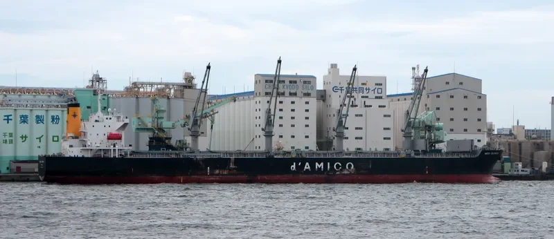 JAHAN BROTHERS II Bulk Carrier IMO 9339480 photo 3