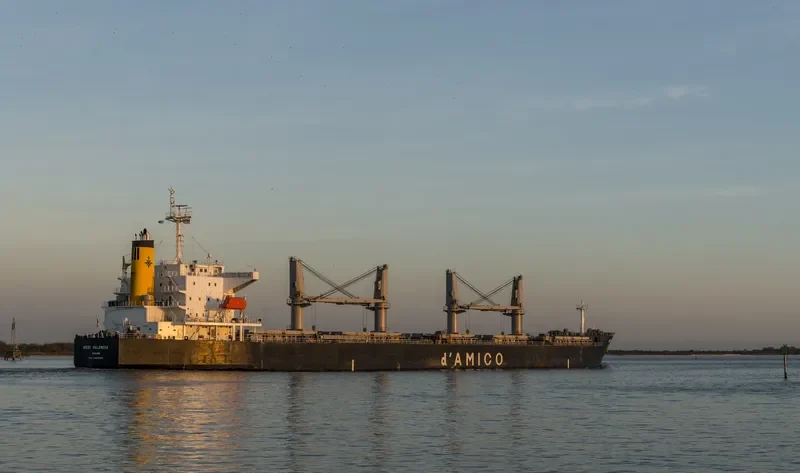 JAHAN BROTHERS II Bulk Carrier IMO 9339480 photo 4