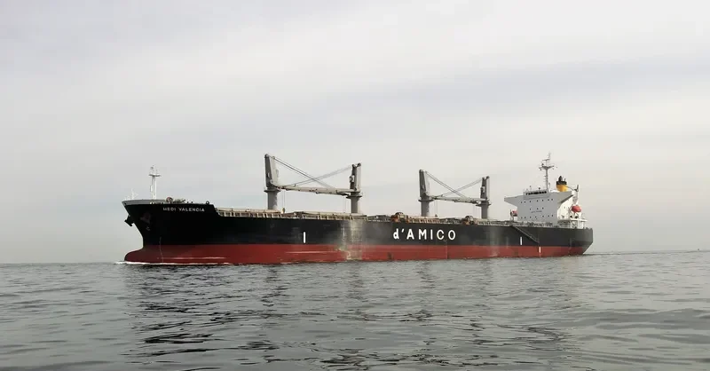JAHAN BROTHERS II Bulk Carrier IMO 9339480 photo 5