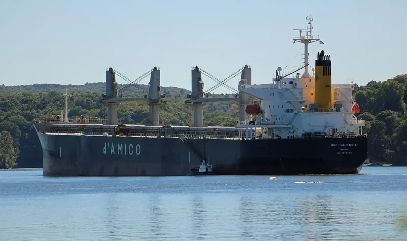 JAHAN BROTHERS II Bulk Carrier IMO 9339480 photo 6