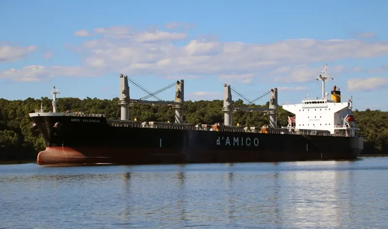 JAHAN BROTHERS II Bulk Carrier IMO 9339480 photo 7