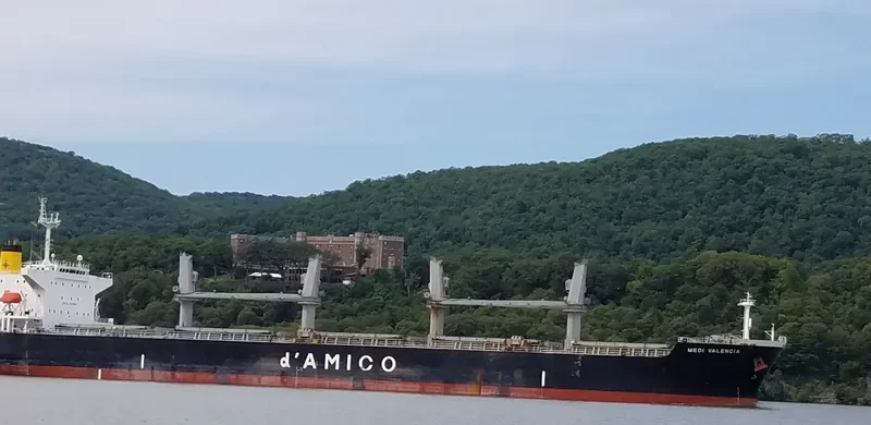 JAHAN BROTHERS II Bulk Carrier IMO 9339480 photo 8