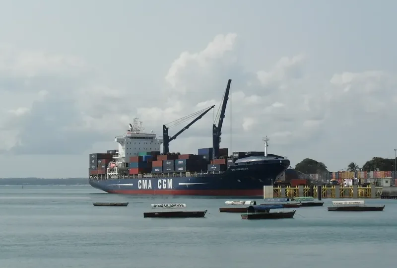 CMA CGM KAILAS Container Ship IMO 9339545 photo 7