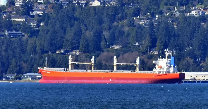 ALIYAH PERMATA Bulk Carrier IMO 9339789