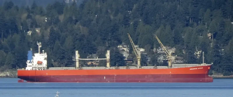 ALIYAH PERMATA Bulk Carrier IMO 9339789 photo 2
