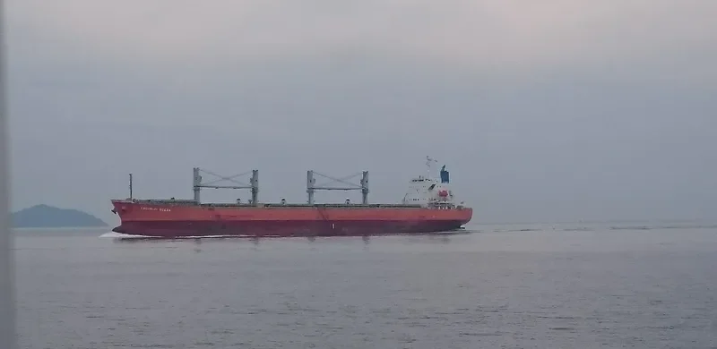 ALIYAH PERMATA Bulk Carrier IMO 9339789 photo 3