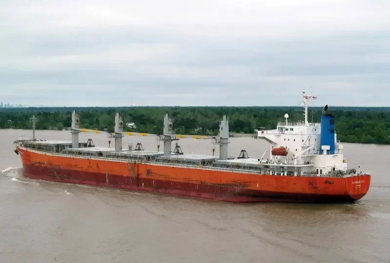 ALIYAH PERMATA Bulk Carrier IMO 9339789 photo 4