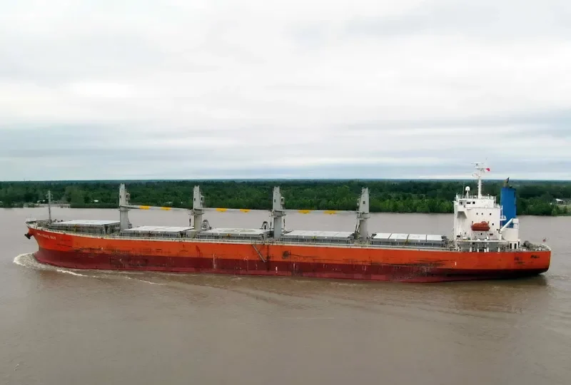 ALIYAH PERMATA Bulk Carrier IMO 9339789 photo 5