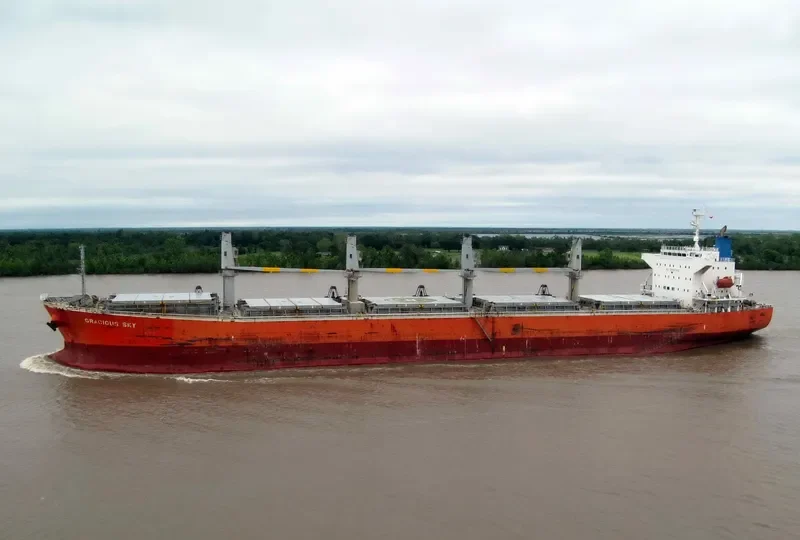 ALIYAH PERMATA Bulk Carrier IMO 9339789 photo 6