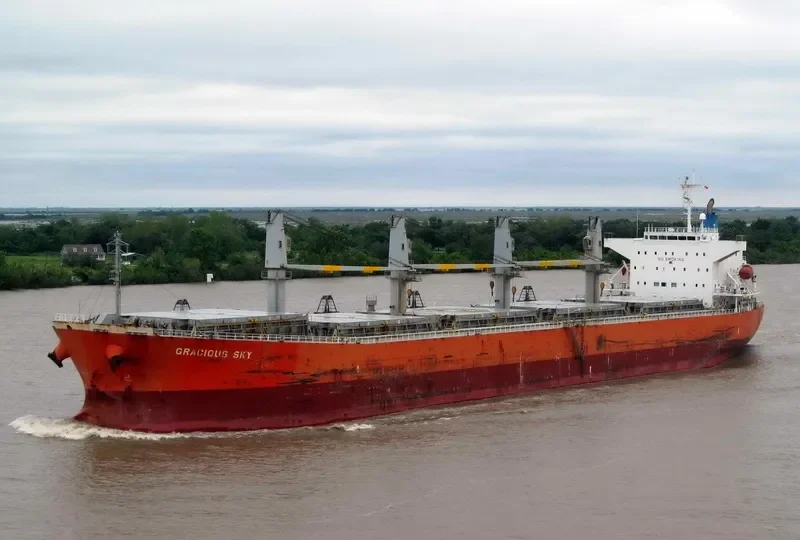 ALIYAH PERMATA Bulk Carrier IMO 9339789 photo 7
