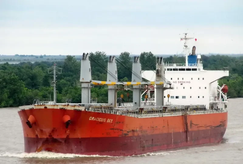 ALIYAH PERMATA Bulk Carrier IMO 9339789 photo 8