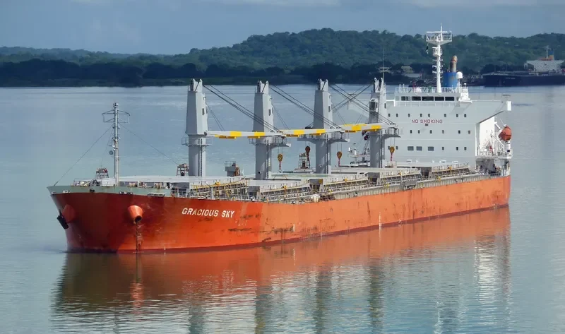 ALIYAH PERMATA Bulk Carrier IMO 9339789 photo 9