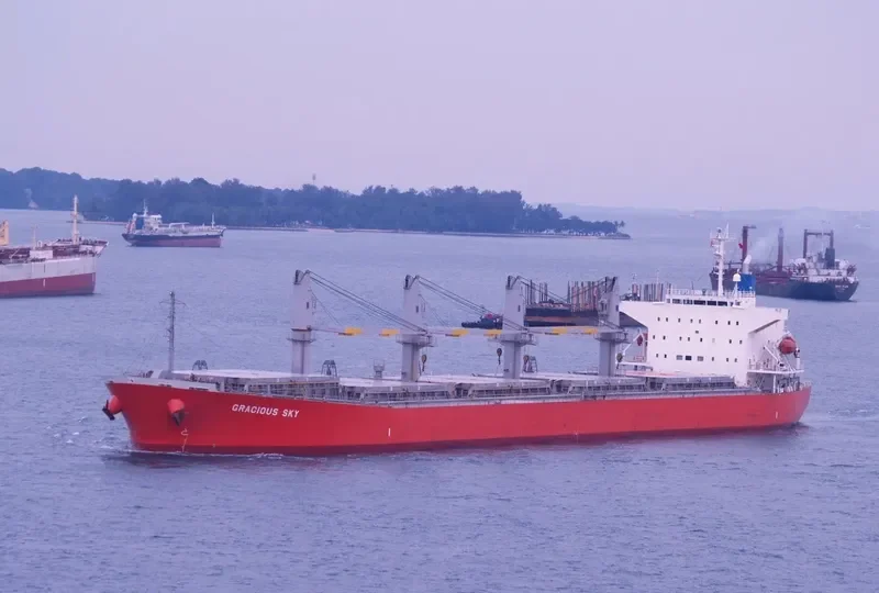 ALIYAH PERMATA Bulk Carrier IMO 9339789 photo 10