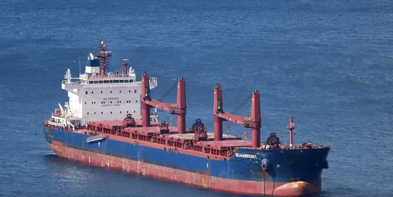 MY LAMA Bulk Carrier IMO 9339791