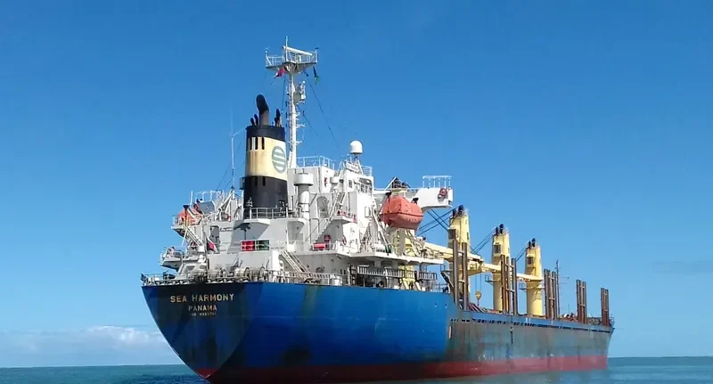 MY LAMA Bulk Carrier IMO 9339791 photo 3