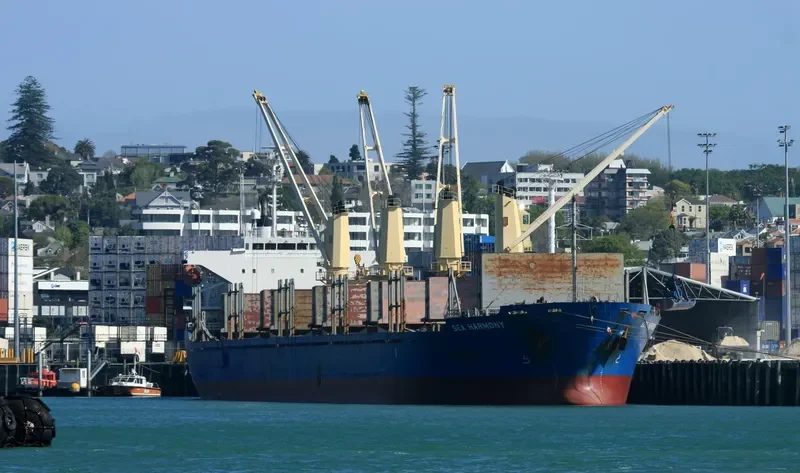 MY LAMA Bulk Carrier IMO 9339791 photo 8
