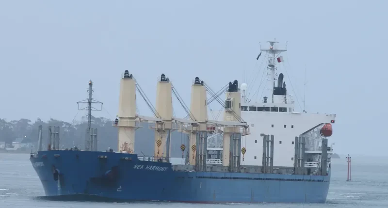 MY LAMA Bulk Carrier IMO 9339791 photo 9