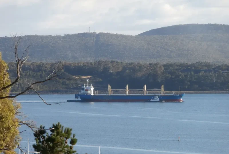 MY LAMA Bulk Carrier IMO 9339791 photo 10