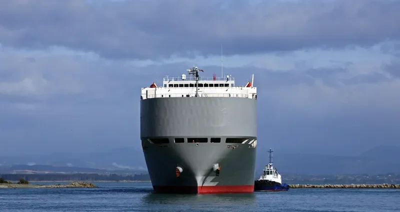 GEORGIA HIGHWAY General Cargo IMO 9339820 photo 6