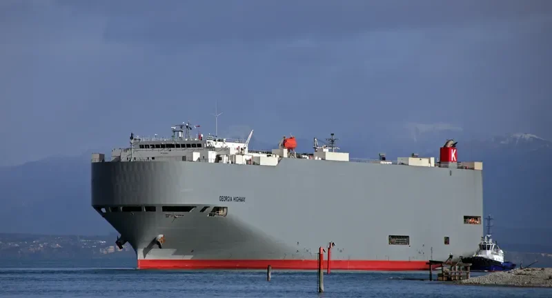 GEORGIA HIGHWAY General Cargo IMO 9339820 photo 7