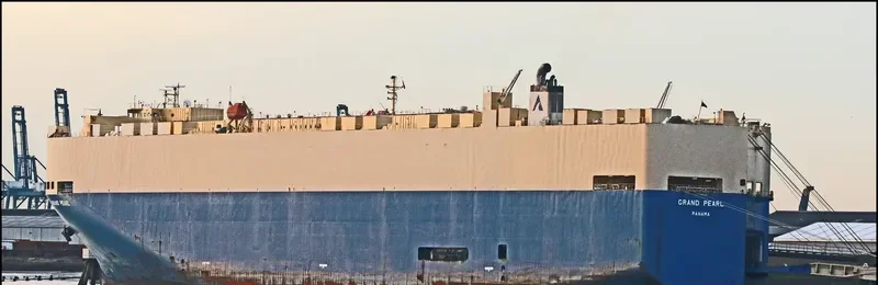 GRAND PEARL Ro-Ro IMO 9339844 photo 3