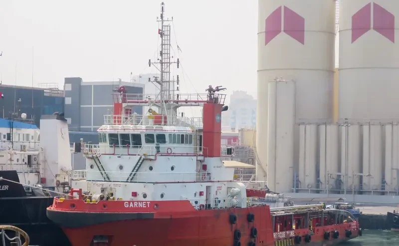 GARNET Multi-Purpose Vessel IMO 9339870 photo 7
