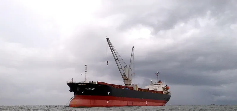 HORIZON 9 General Cargo IMO 9339935 photo 6
