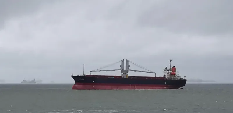 HORIZON 9 General Cargo IMO 9339935 photo 8