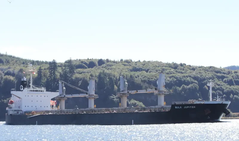 BULK JUPITER Bulk Carrier IMO 9339947 photo 3