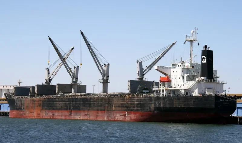 BULK JUPITER Bulk Carrier IMO 9339947 photo 7