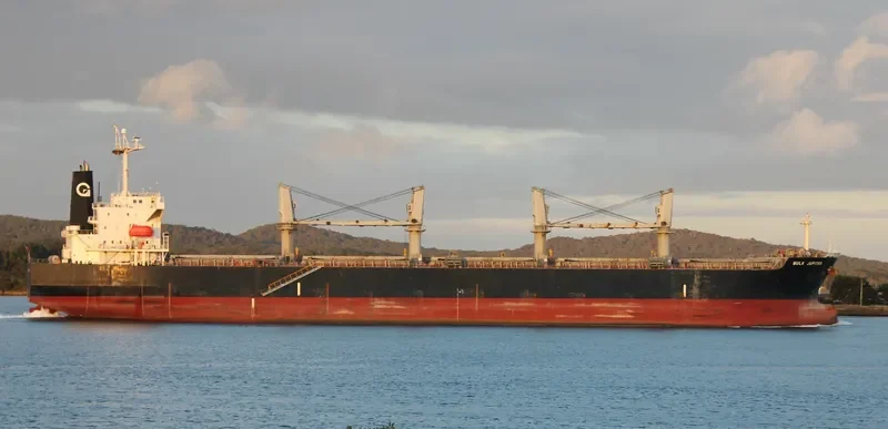 BULK JUPITER Bulk Carrier IMO 9339947 photo 9
