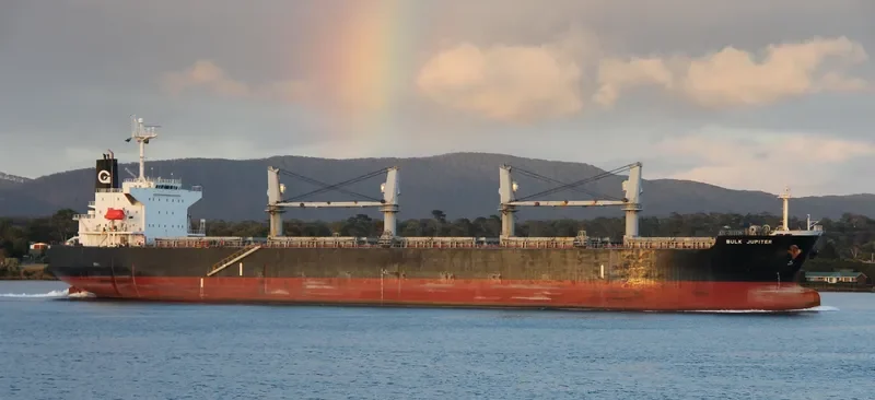 BULK JUPITER Bulk Carrier IMO 9339947 photo 10