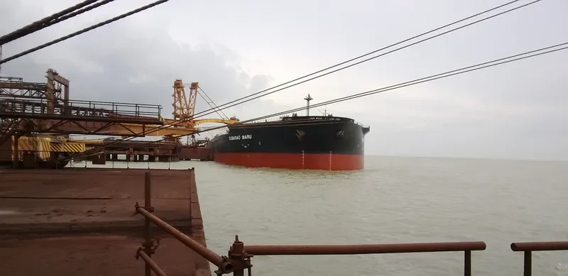 TUBARAO MARU Bulk Carrier IMO 9339961 photo 2