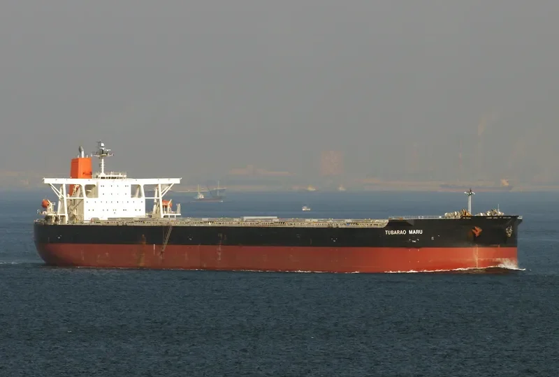 TUBARAO MARU Bulk Carrier IMO 9339961 photo 4