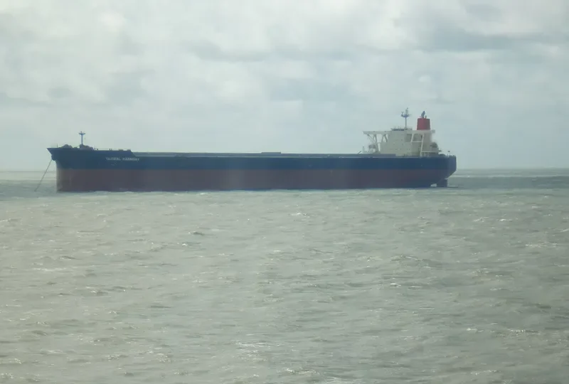 GLOBAL HARMONY Bulk Carrier IMO 9340001 photo 3