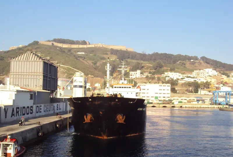 GLOBAL HARMONY Bulk Carrier IMO 9340001 photo 5