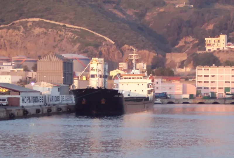 GLOBAL HARMONY Bulk Carrier IMO 9340001 photo 6