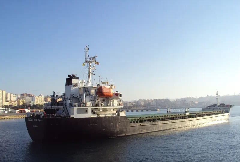 GLOBAL HARMONY Bulk Carrier IMO 9340001 photo 7